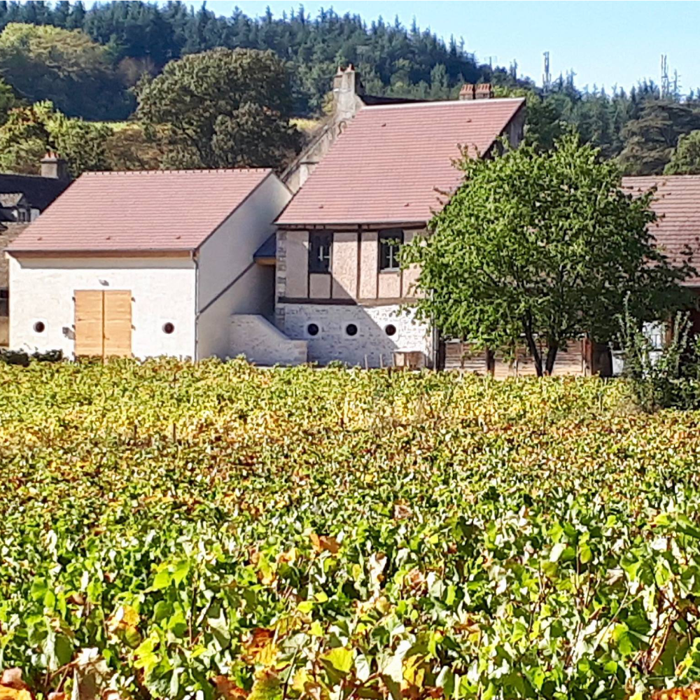 Vue sur la cuverie du domaine premier chapitre à Mercurey